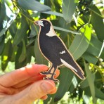 Wooden Magnet | Australian Magpie Wooden Magnet | Australian Magpie